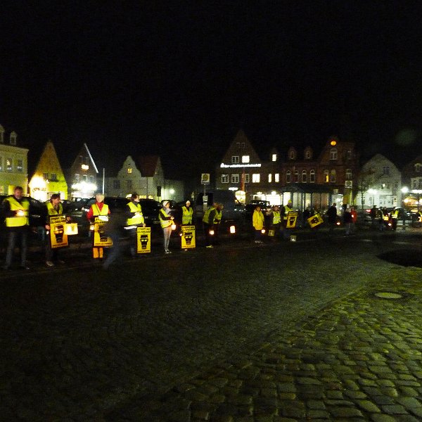 07.November 2011 0011.JPG - Mahnwache in Bredstedt am 7.11.2011 einen Abend bevor der Vermittlungsausschuss über das CCS Gesetz tagt